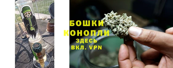 spice Бородино