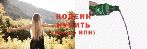 spice Бородино