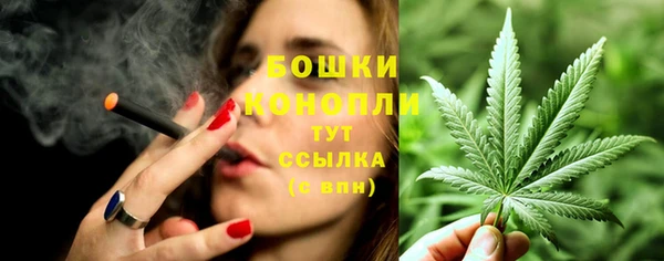 spice Бородино