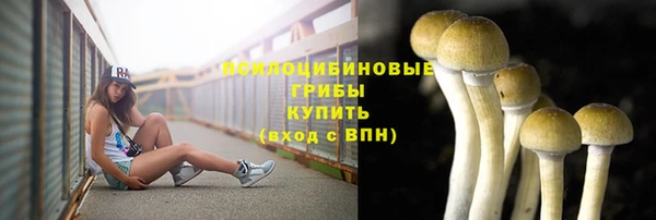 спиды Бронницы