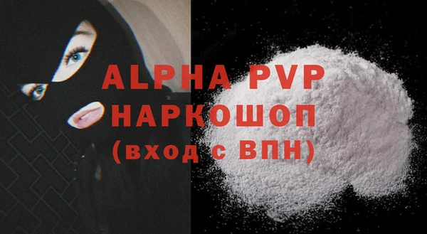 spice Бородино