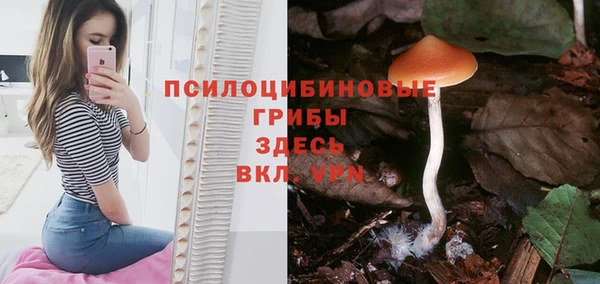 тгк Бугульма