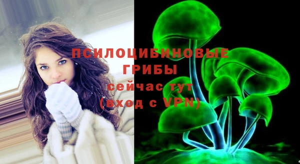 spice Бородино