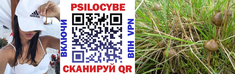 Псилоцибиновые грибы Magic Shrooms Константиновск